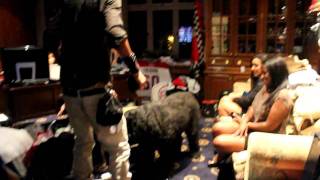 Larry from Les Twins vs Crosby the Dog  Listening to Coles hit Need a Change [upl. by Adaha]