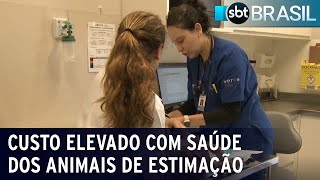 Custo com saúde dos animais de estimação é alto  SBT Brasil 050823 [upl. by Yanej825]