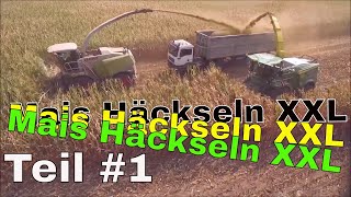 Mais Häckseln Nebra 2018 Teil 1 [upl. by Annod]