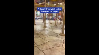 Family Fun at Great Wolf Lodge [upl. by Donohue]