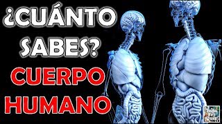 ¿Cuánto Sabes Sobre quotEL CUERPO HUMANOquot TestTrivialQuiz [upl. by Khalid195]