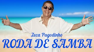 Zeca Pagodinho  Roda De Samba [upl. by Nnylekoorb]