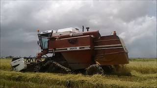 Farm Work CombineHarvester Rice harvesting colheita de arroz no Suriname [upl. by Oravla737]