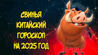 СВИНЬЯ Китайский Гороскоп на 2025 год [upl. by Sydalg749]