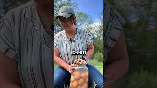 Water Glassing Chicken Eggs ❌FAIL❌ homesteading chicken waterglass [upl. by Quinby]