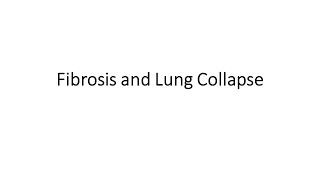 Fibrosis amp Lung Collapse [upl. by Orton]