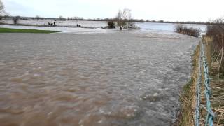 Somerset floods Athelney spillway to Northmoor A361 [upl. by Os520]