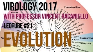 Virology Lectures 2017 21 Evolution [upl. by Ellecrad178]