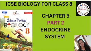 PART 2 ENDOCRINE SYSTEM different types of glands their location and functions Class 8 ICSE [upl. by Aiel549]