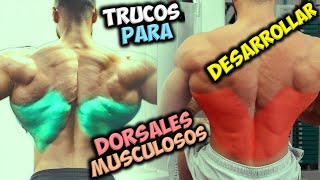 TRUCOS Para DESARROLLAR 📢 Unos DORSALES Grandes Y Musculosos  Gana Una ESPALDA 👉 En Forma De V [upl. by Pacificia]