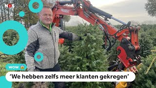 Duizenden vernielde kerstbomen toch verkocht [upl. by Klute663]