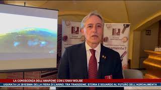 La conoscenza dellamarone con lonav Molise  Trsp  news del 111024 [upl. by Grim]