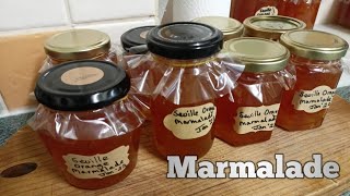 Marmalade  Easy Recipe [upl. by Hofstetter]