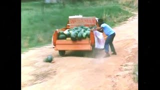 Leon Schuster  Runaway bakkie full of watermelons [upl. by Ahsiekram973]