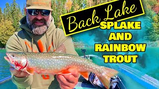 Fishing For Splake and Rainbow Trout in Northern Ontario  Flint Wilderness Lodge Back Lake Trip [upl. by Dearr]