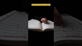 Surah Fussilatqurantranslationytshortstarjumaquran [upl. by Clarance]