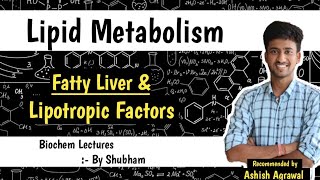 Fatty Liver amp Lipotropic Factors  Lipid Metabolism  Biochemistry Lectures [upl. by Selyn]