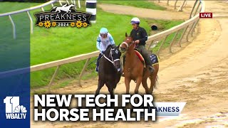 New technology helps to keep horses healthy [upl. by Reseda]