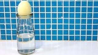 How to do egg in a bottle science experiment [upl. by Ahsitruc]