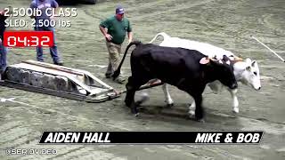 Big E Oxen Pull 2500 Class NEW [upl. by Nehpets]