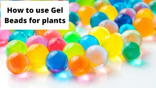 Using Gel Beads for Plants  Watering Plants while you are on a vacation Shorts [upl. by Ayamat76]