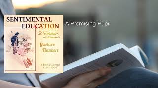 Sentimental Education 12 ❤️ By Gustave Flaubert FULL Audiobook [upl. by Leva]