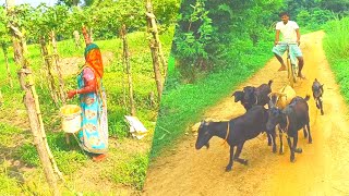 Village Life UnveiledA Day in Our Daily RoutineWest Bengal Village of India [upl. by Rocker]