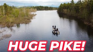 Northern Pike Fishing  Adirondacks NY [upl. by Island929]