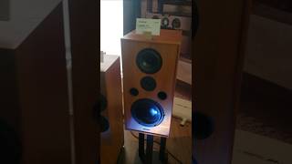 Spendor Classic 12 amp new D72 from Executive Stereo Avenue Rd Toronto  Toronto Audiofest 2024 [upl. by Ynnob715]