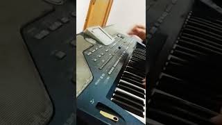 GecelerBülent Ersoy Korg PA 800 [upl. by Yroc]