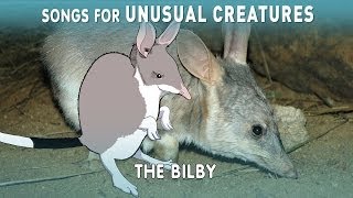 The Easter Bilby  Unusual Creatures  PBS Digital Studios [upl. by Meldon302]