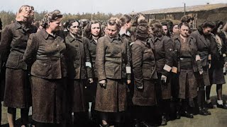 The JUSTIFIED Execution Of The Female Guards Of BergenBelsen [upl. by Alyag]