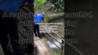 Trout Farm Restaurant Chirripo Village costaricavacation costaricafood costaricatravel [upl. by Esilrahc]