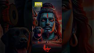 Om Namah Shivay harharmahadev omnamahshivaya lordshiva jaimahakal omnamahshivay shorts trend [upl. by Halludba]