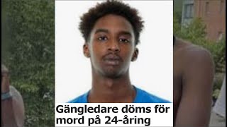 Rättegången med Mohamed Shire Nätverk D [upl. by Beryle]