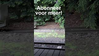 Een Eekhoorn op het Spoor  15052024  Efteling [upl. by Marron]