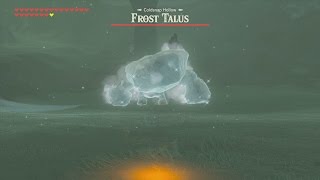 BotW Frost Talus Coldsnap Hollow [upl. by Ayat800]