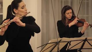 C Ph Stamitz Flute Concerto in G major op29 II Andante non troppo moderato Charity Concert [upl. by Eniwtna]