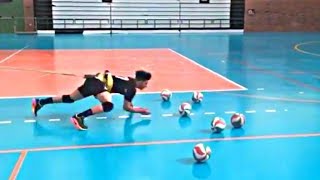 Best Libero Volleyball Trainings 2018 HD [upl. by Egni]