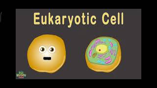 Prokaryotic Cells VS Eukaryotic Cells [upl. by Pronty]