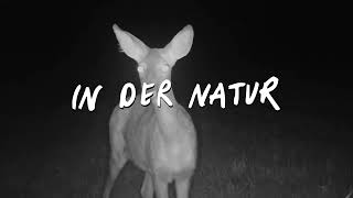 Deichkind  In Der Natur Official Audio [upl. by Ennaeilsel]