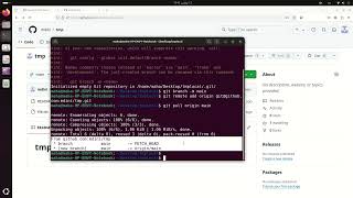 Set up a Git repository command lines [upl. by Danialah431]