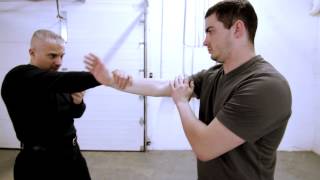 Sensitivity Drill  Wing Chun Lesson 23 [upl. by Simmonds165]