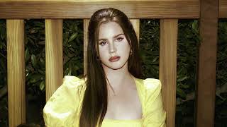 Lana Del Rey  Dealer Filtered Instrumental [upl. by Pammie]