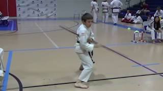 Bo Staff Form2  Tang Soo Do  Fast and Slow Motion  Learn step by step [upl. by Carrick]