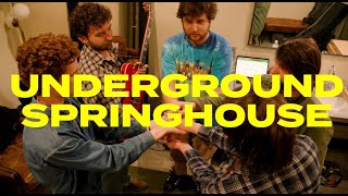 Underground Springhouse  Feb 2124 24 Recap supporting Pigeons Playing Ping Pong [upl. by Carolynn41]