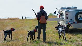 DT Systems Long Range PRO Trainers  For Upland Bird Dogs Waterfowl Retrievers and More [upl. by Berkman]