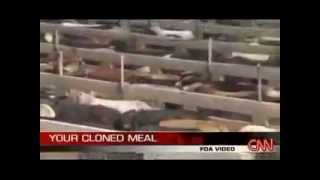 CLONED MEAT  Its in supermarkets already  FDA says No labels required [upl. by Dranoel]