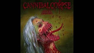 Cannibal Corpse Follow the BloodInstrumental [upl. by Fabiano]