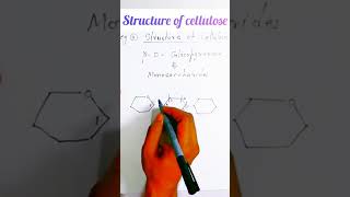 Haworth projection formula of cellulose [upl. by Neils876]